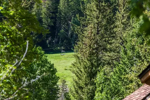 Other - 8841 N Alpine Loop Rd #3, Sundance, UT 84604 photo 11 of 15