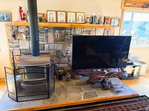 Living - 17 Eagle Cir, Scofield, UT 84526 photo 4 of 7