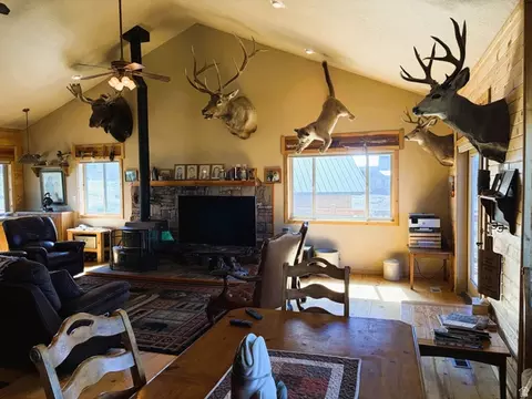 Living - 17 Eagle Cir, Scofield, UT 84526 photo 5 of 7