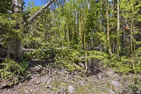 615 E Old Rd, Brian Head, UT 84719 photo 15