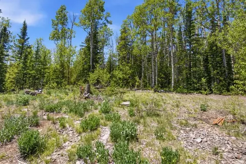 615 E Old Rd, Brian Head, UT 84719 photo 6