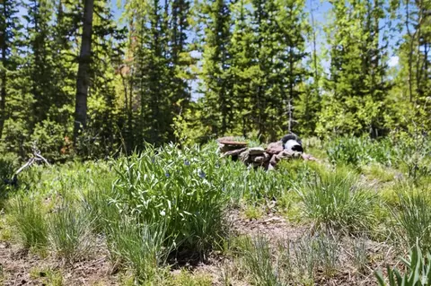 615 E Old Rd, Brian Head, UT 84719 photo 8