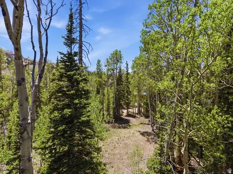 615 E Old Rd, Brian Head, UT 84719 photo 7