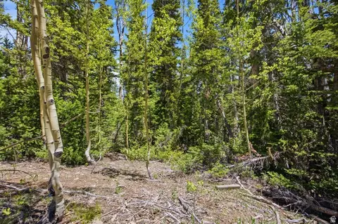 615 E Old Rd, Brian Head, UT 84719 photo 17