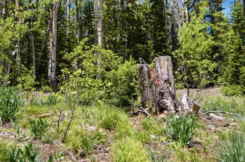615 E Old Rd, Brian Head, UT 84719 photo 9