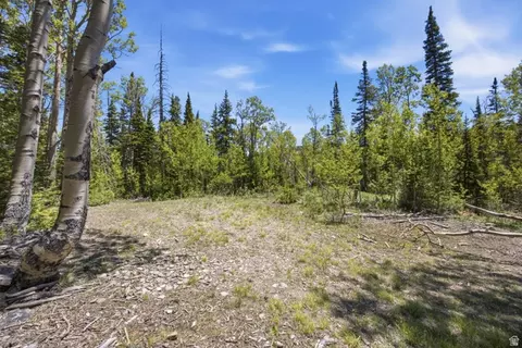 615 E Old Rd, Brian Head, UT 84719 photo 18