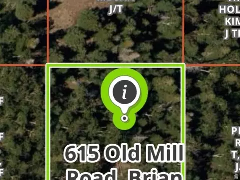 615 E Old Rd, Brian Head, UT 84719 photo 35