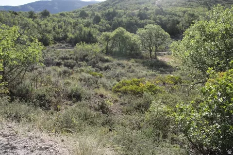 Undisclosed, Fairview, UT 84629 photo 12