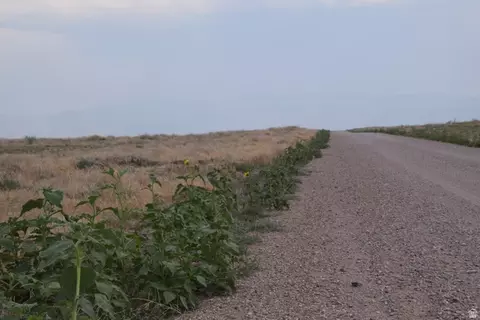 Undisclosed, Kanosh, UT 84637 photo 3