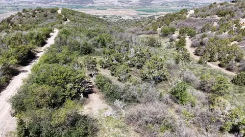 22045 N 14377 E #20, Fairview, UT 84629 photo 5