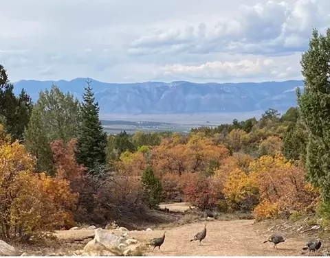 Undisclosed, Mount Pleasant, UT 84647