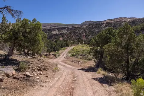 4 La Sal Pass Spur, Moab, UT 84532 photo 9