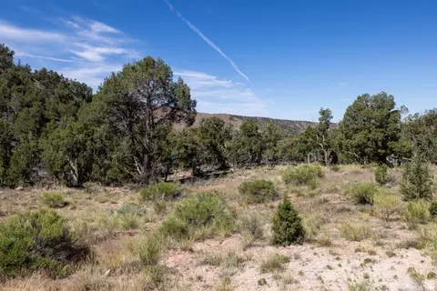 4 La Sal Pass Spur, Moab, UT 84532 photo 14