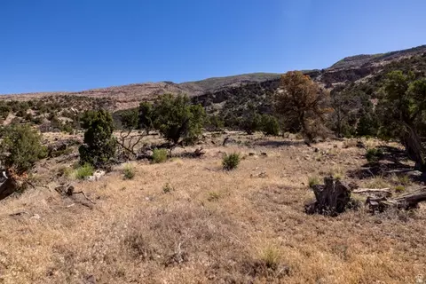 4 La Sal Pass Spur, Moab, UT 84532 photo 12