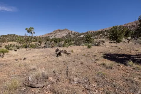4 La Sal Pass Spur, Moab, UT 84532 photo 11