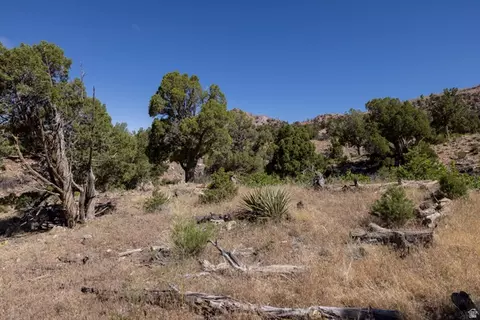 4 La Sal Pass Spur, Moab, UT 84532 photo 5