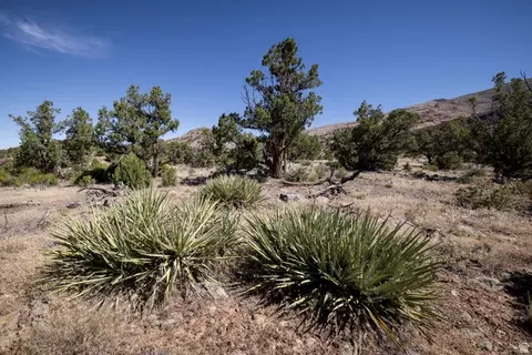 4 La Sal Pass Spur, Moab, UT 84532 photo 4