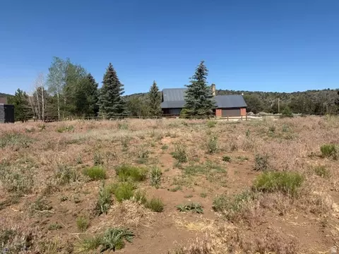 133 S Terry Pkwy #35, Pine Valley, UT 84781