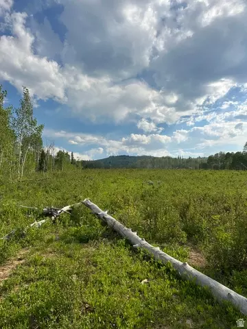 94 Hilltop Ln #94 &95, Fairview, UT 84629