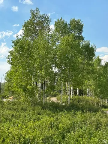 Undisclosed, Fairview, UT 84629 photo 3