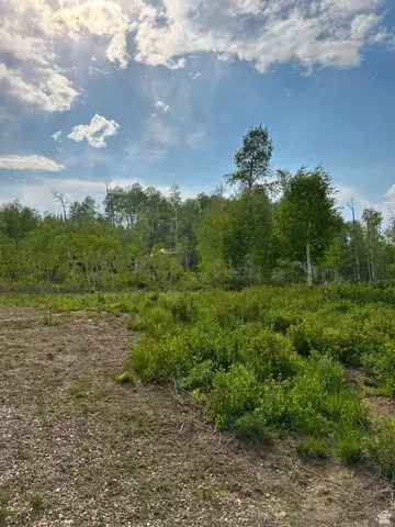 Undisclosed, Fairview, UT 84629 photo 2