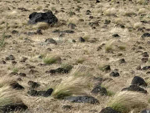 Undisclosed, Kanosh, UT 84637 photo 8