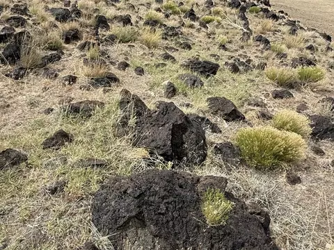 Undisclosed, Kanosh, UT 84637 photo 11