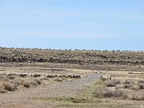 Undisclosed, Kanosh, UT 84637 photo 19