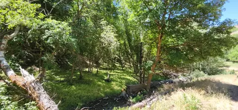 Undisclosed, Morgan, UT 84050 photo 2