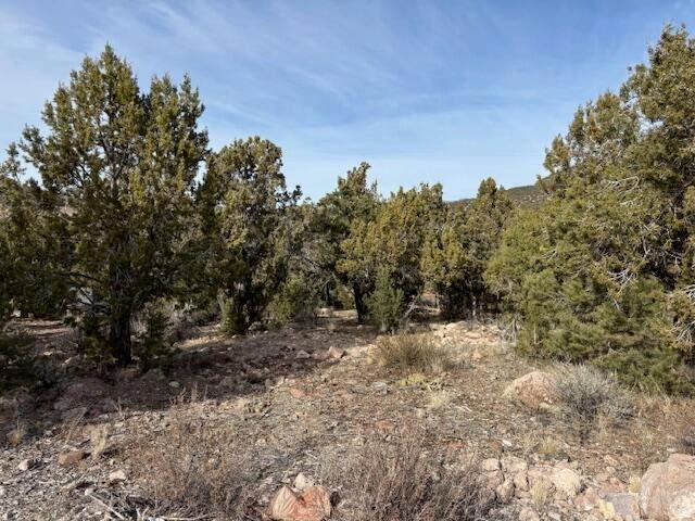 277 N Pinion Cir #9, Central, UT 84722
