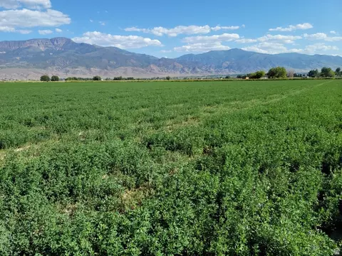 400 E 400 N, Elsinore, UT 84724 photo 22