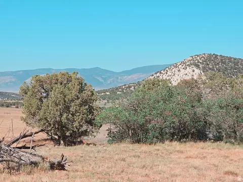 Undisclosed, Spring City, UT 84662 photo 7