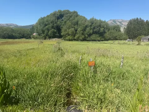 Undisclosed, Liberty, UT 84310 photo 3