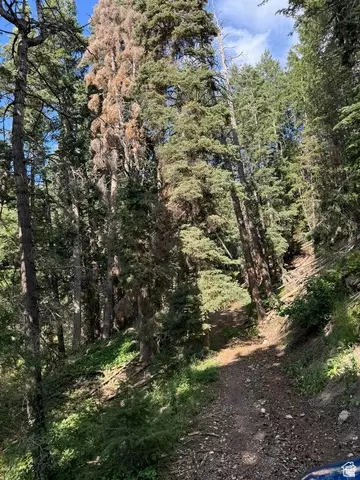Undisclosed, Mount Pleasant, UT 84647 photo 8