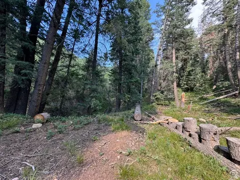 Undisclosed, Mount Pleasant, UT 84647 photo 6