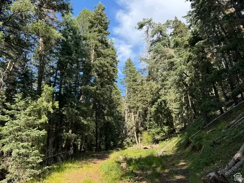 Undisclosed, Mount Pleasant, UT 84647