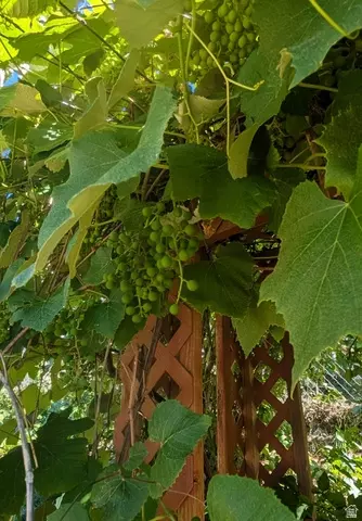 Other - 272 E 1400 N, Bountiful, UT 84010 photo 9 of 9