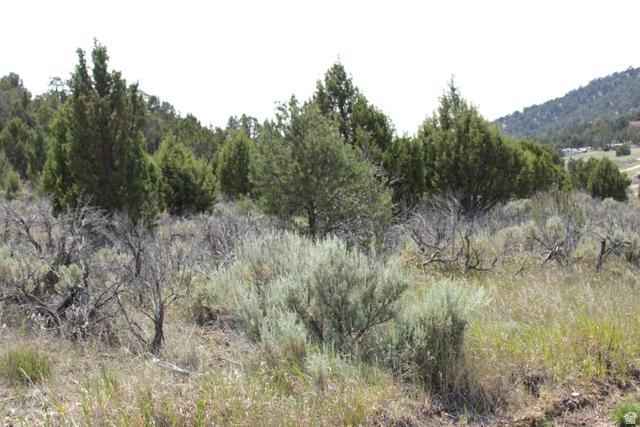 Undisclosed, Fairview, UT 84629
