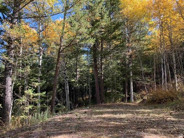 16 Skyline Cir #16, Lava Hot Springs, ID 83246