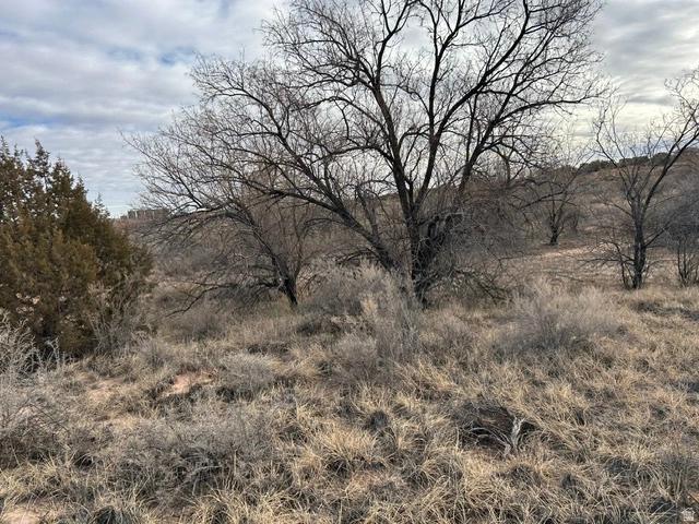 Undisclosed, Roosevelt, UT 84066