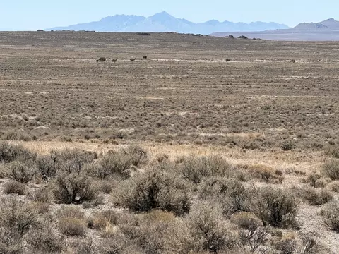 1 Emigrant Trl Rd, Park Valley, UT 84329 photo 17