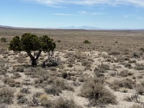 1 Emigrant Trl Rd, Park Valley, UT 84329 photo 32