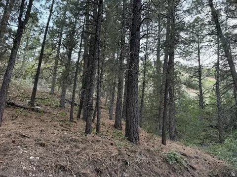 137 N Kolob #36, Springdale, UT 84767 photo 14