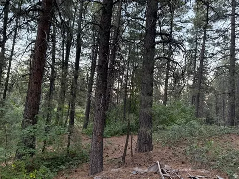 137 N Kolob #36, Springdale, UT 84767 photo 12