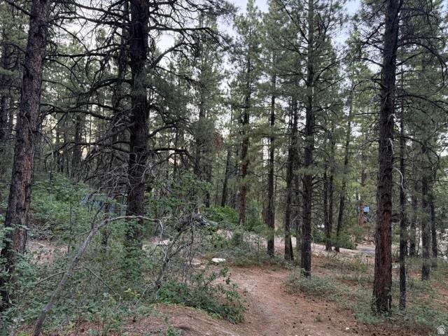 137 N Kolob #36, Springdale, UT 84767