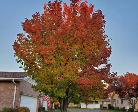 Other - 442 W 230 N, Orem, UT 84057 photo 16 of 16