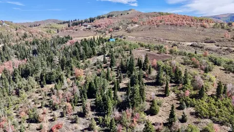 22045 N 143779 E #123, Fairview, UT 84629 photo 9