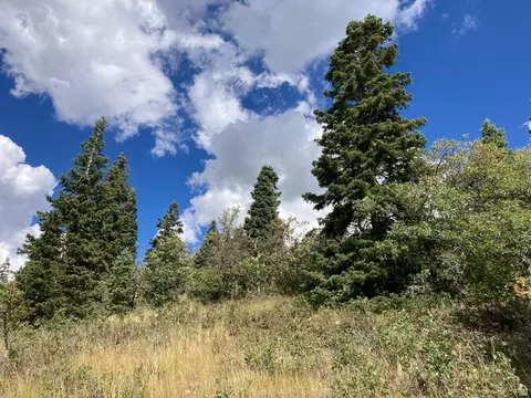 22045 N 143779 E #123, Fairview, UT 84629 photo 15