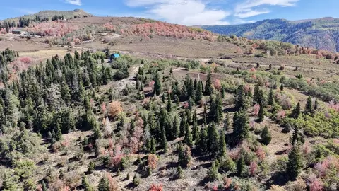 22045 N 143779 E #123, Fairview, UT 84629 photo 4