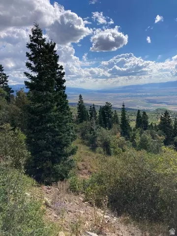 22045 N 143779 E #123, Fairview, UT 84629 photo 12
